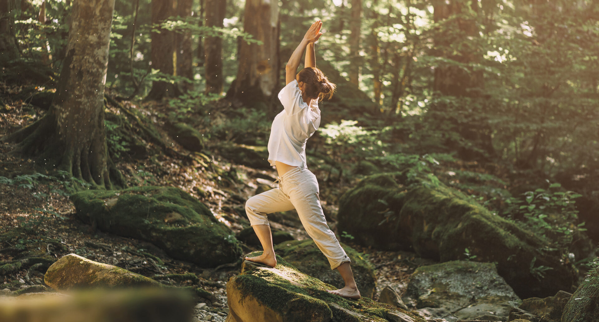 The Power of Forest Wellness for Mind and Body